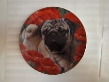 Pug dog collectable for sale  Menominee