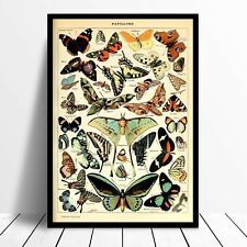 Vintage victorian butterfly for sale  SHEFFIELD