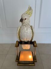Vintage ceramic parrot for sale  Cedarhurst