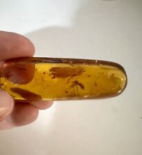 Amber fossil mosquito for sale  Carpinteria