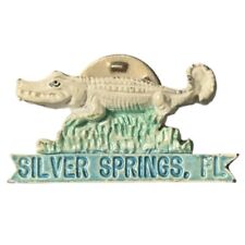 Silver springs florida for sale  Ellenville