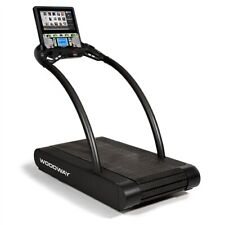 Woodway 4Front Commercial Treadmill - Personal Trainer Display and HD TV for sale  Katy
