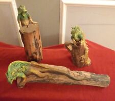 iguanas for sale  HAVERHILL