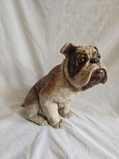 Large english bulldog for sale  NORWICH