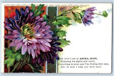 Usado, Cartão postal Anoka Minnesota MN folhas em relevo flor exterior 1910 antigo vintage comprar usado  Enviando para Brazil