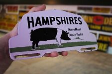 Hampshires hog pig for sale  Edgerton