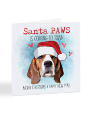 A2595 santa paws for sale  CRAMLINGTON