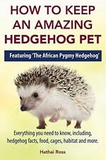 Keep amazing hedgehog for sale  ROSSENDALE