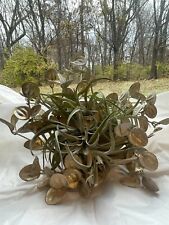 Air plant centerpiece for sale  Independence