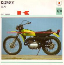 Kawasaki 250 tr250 d'occasion  Cherbourg-Octeville-