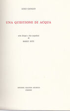 L.cavallo una questione usato  Vigevano