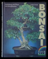 Bonsai gestaltung pflege gebraucht kaufen  Knielingen