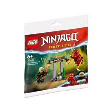 Lego ninjago 30650 gebraucht kaufen  Neustadt a.d.Waldnaab