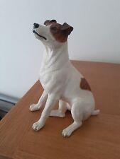 Richmond jack russell for sale  NORWICH