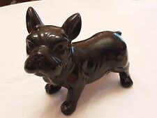 Cute french bulldog for sale  Indianapolis