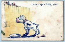 Antique Comic Postcard~ Guard Dog & Burglar~ I Am Expecting You  for sale  Shipping to South Africa