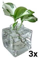 Glass propagation vase for sale  WATFORD