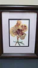 Dried pansy floral for sale  Supply