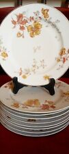 Porcelaine haviland limoges d'occasion  Reims