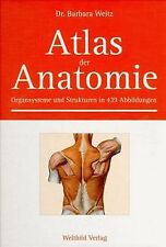 Atlas anatomie rgansysteme gebraucht kaufen  Berlin