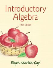 Introductory algebra martin for sale  Aurora