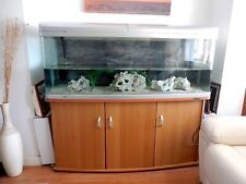 5ft aquarium fish for sale  RUISLIP