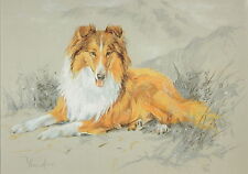 Impressão Rough Collie, Rough Collie Picture edição limitada Rough Collie Print DT23 comprar usado  Enviando para Brazil