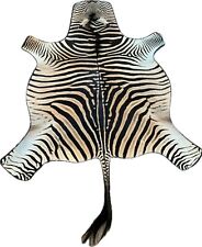 Africian burcell zebra for sale  Gonzales