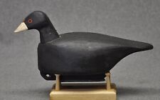 Unknown coot drake for sale  Monroe