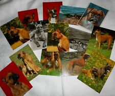 Postkarten deutscher boxer gebraucht kaufen  Ostrhauderfehn