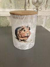 Guinea pig jar for sale  CROOK