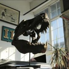 Resin dinosaur head for sale  Parkville