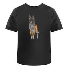 Belgian malinois men d'occasion  Expédié en Belgium