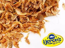 Herons dried shrimp for sale  DERBY