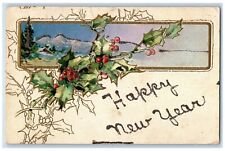 1908 Feliz Ano Novo Holly Berries Glitter em relevo Hope Valley RI Cartão Postal comprar usado  Enviando para Brazil