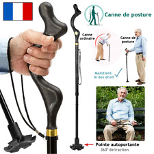 Canne pliable posture d'occasion  Nanteuil-le-Haudouin