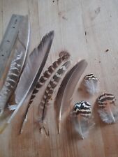 craft feathers for sale  ABERTILLERY