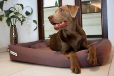 Doctor Bark large dog bed brown for sale  Shipping to South Africa