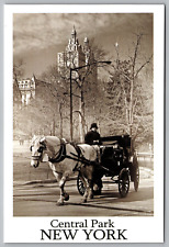 Postcard 4x6 horse for sale  Florence