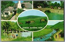 Exmoor postcard national for sale  CORSHAM