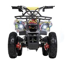 Elektro quad miniquad gebraucht kaufen  Ettenheim