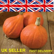 Japanese onion pumpkin for sale  TENTERDEN