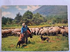 Cpsm troupeau moutons d'occasion  Calais