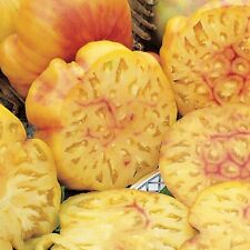 Pineapple tomato seeds for sale  Julian