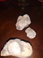 Rocks fossils minerals for sale  Roswell