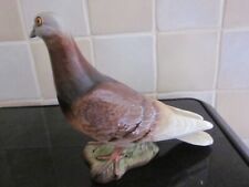 red pigeons for sale  PRESCOT