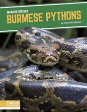 Burmese pythons for sale  Denver