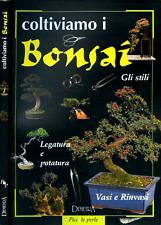 Coltiviamo bonsai gli usato  Italia