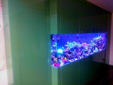 Large aquarium 310cm for sale  EPSOM