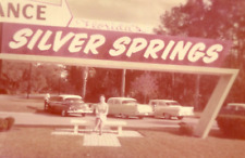 1950s florida silver for sale  Flagler Beach